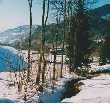 With One Bedroom In Megeve, With Wonderful Mountain View And Appartement Megève